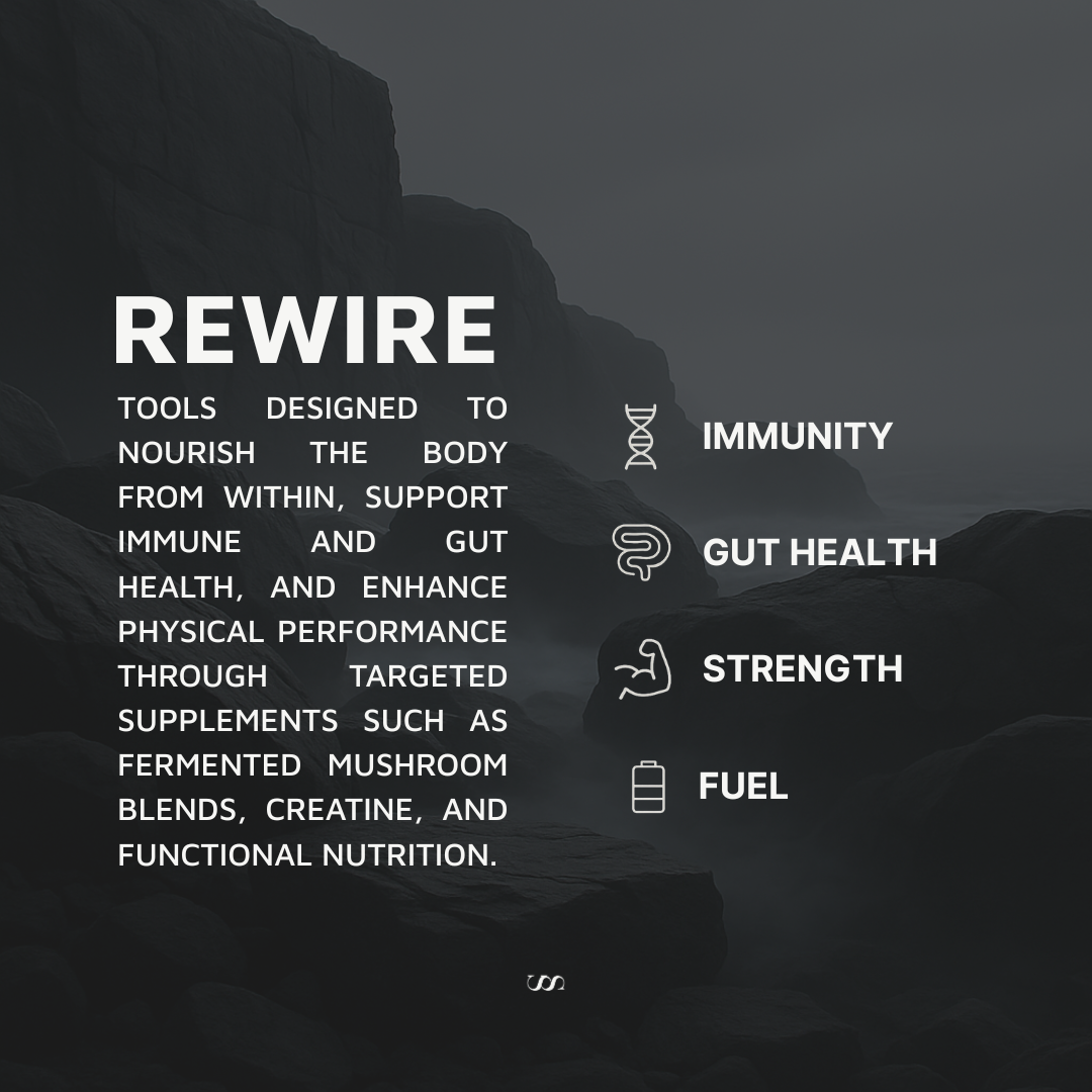 FERMENTED MUSHROOM BLEND – IMMUNE & GUT HEALTH SUPPORT